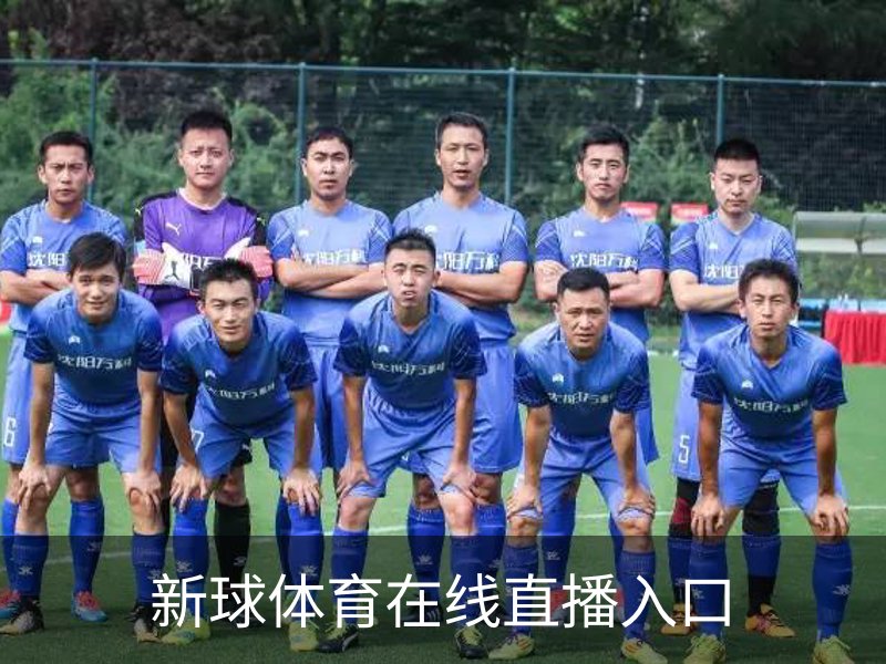 新球体育在线直播入口介绍
